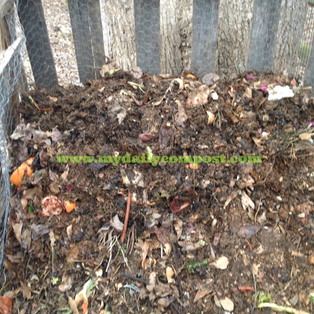 compost pile covered up 2.2015