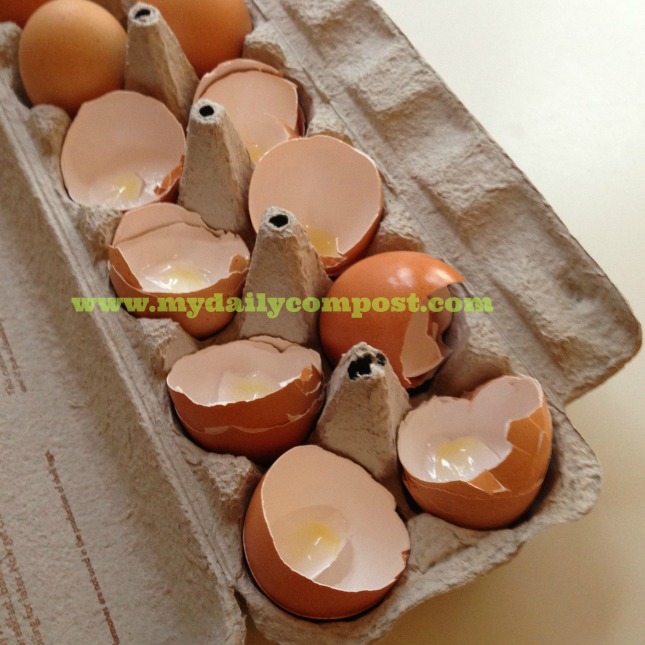 frittatta eggshells 2.15