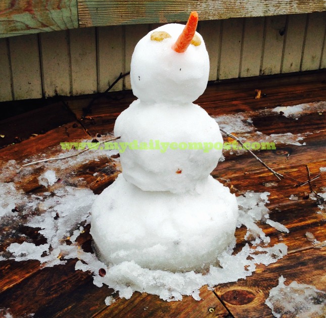 snowman 2015